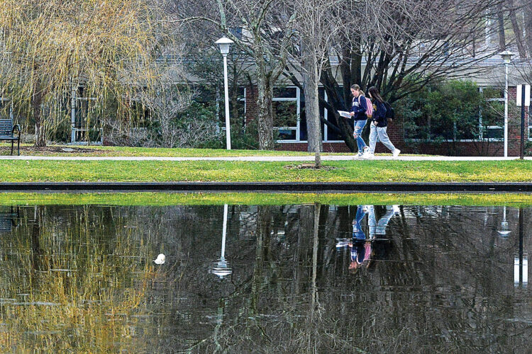 Seeing double News, Sports, Jobs Altoona Mirror